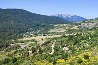 Hameau de Valouse - 19