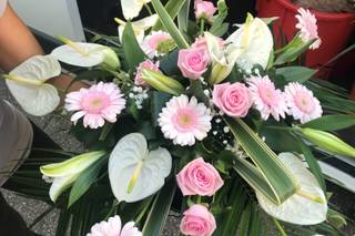Laurence Fleurs - 11