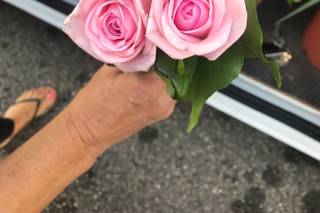 Laurence Fleurs - 12