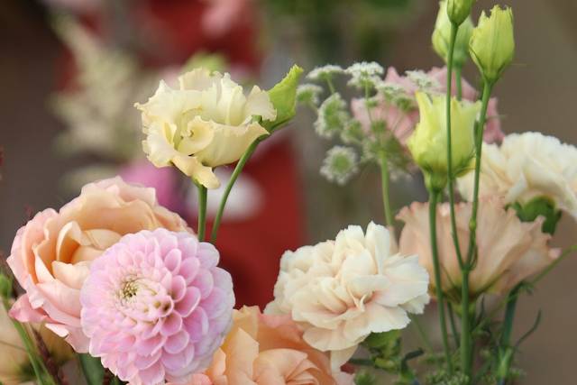 D Day Wedding Planner 1