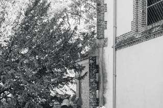O'Scarlett Nogent - 12