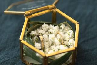Aud'O Fleurs - 14