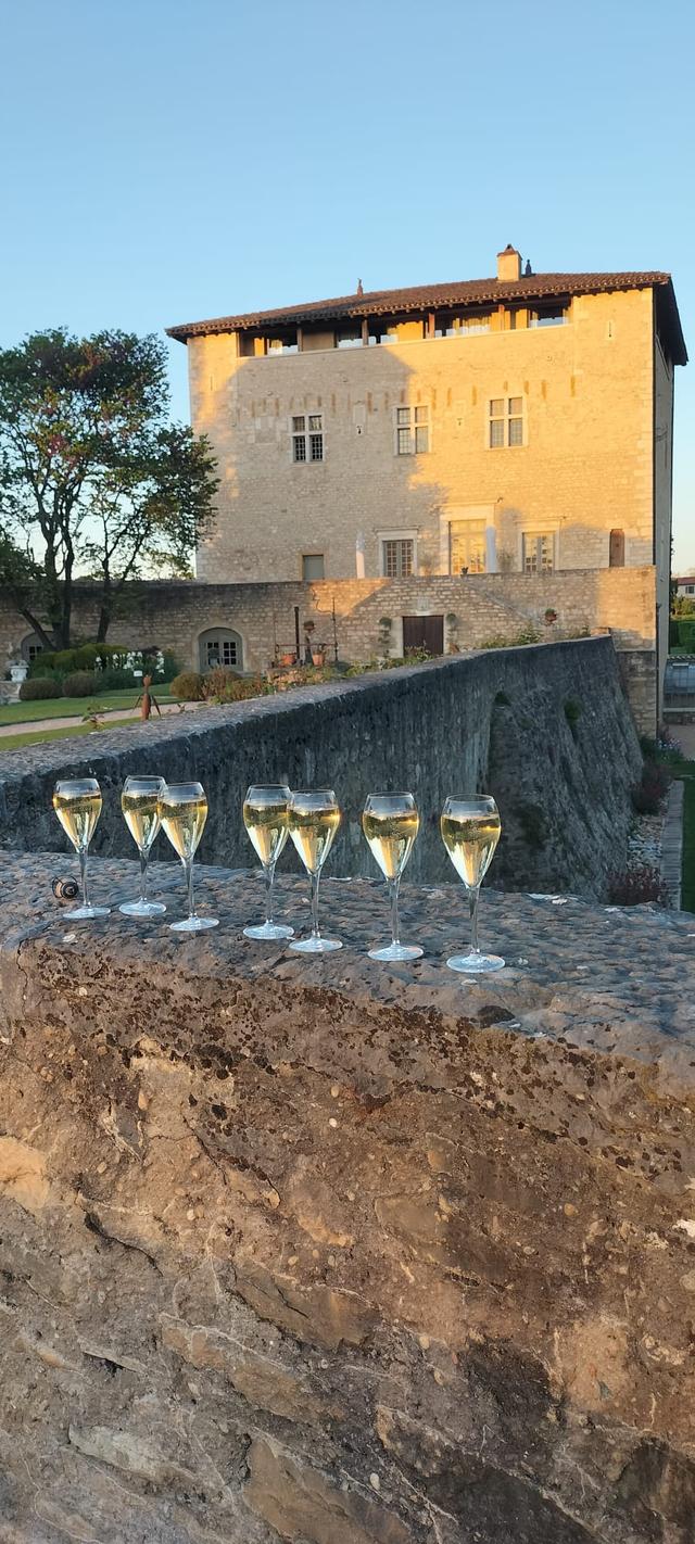 Château de Saint-Bernard - 2