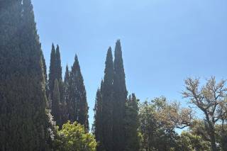 Bastide des Bertrands - 7