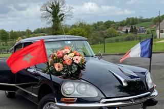 Le Cocon Végétal - 16