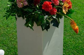 Jardin d'Arums - 7