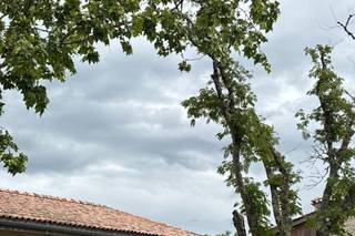 Domaine Le Herre - 8