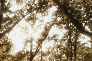 Anaïs Levé Photographie - 8