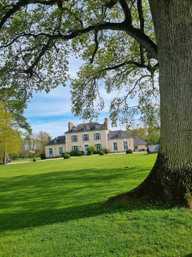 Château du Pin - 2