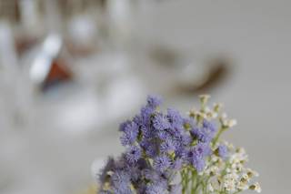 Charlotte Jonquard - 7