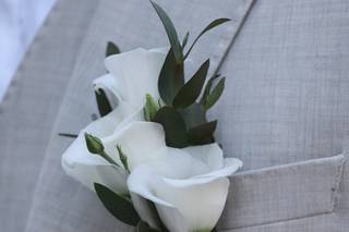 Fleurs Véronique - 6