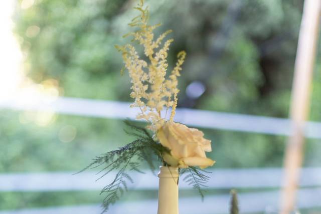 Les Fleurs de Ninon 1