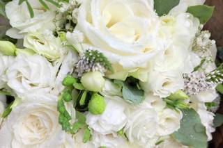 Coton et Coquelicot - 8