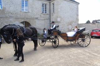 Ecurie les Crinières au Vent - 3