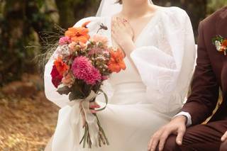 Éclat de Cosmos - 5