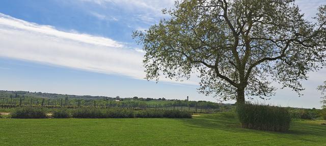 Château du Grand Mouëys - 4