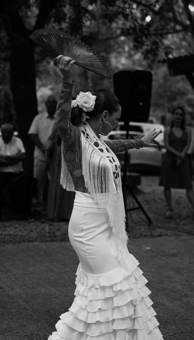 Sangre Andaluza - 2