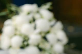 Florence Martin Photographe - 9