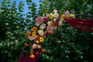 Aurine Fleurigraphie - 7