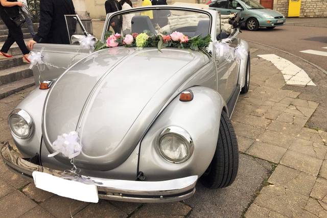 Cox Cabriolet 3