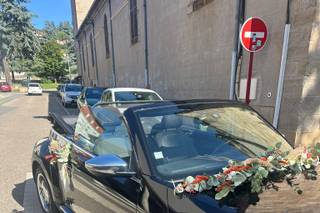 Allons voir si la rose - 5