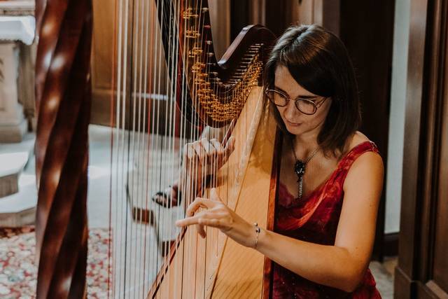 Harpe Event 2