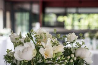 Atelier Aiyanna - 6