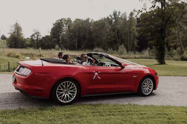 FGT Luxury 1