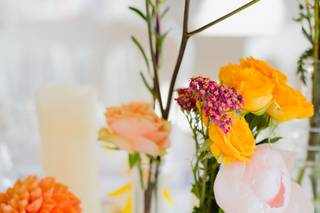 Aurelie Petit Photography - 11