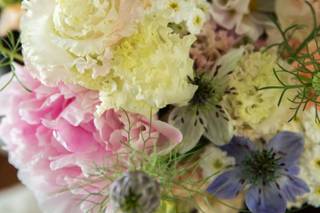 Kraft Fleurs & Jouets - 5