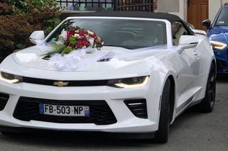 Luxury Lease - 11
