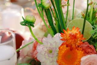 Les Fleurs d'Aqui - 28