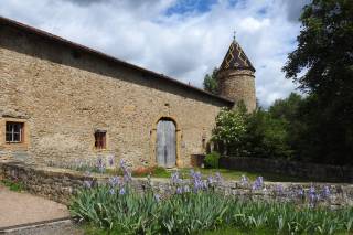 Château de Courbeville - 9