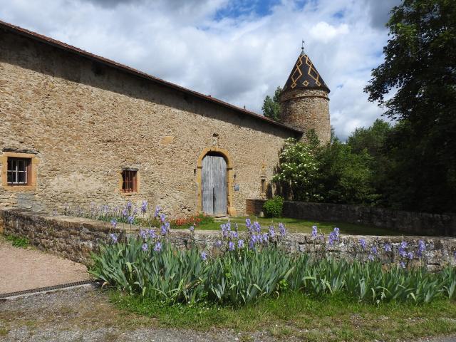 Château de Courbeville - 3