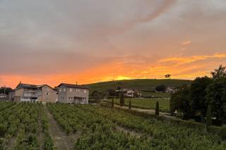 Domaine Morgon La Javernière - 6