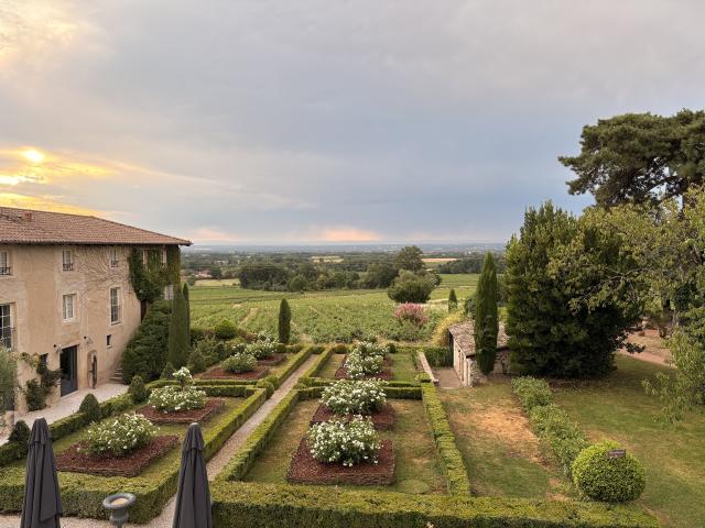 Domaine Morgon La Javernière - 3