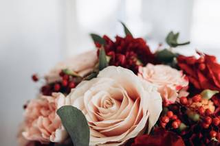 Lucile Auregan Photographie - 13