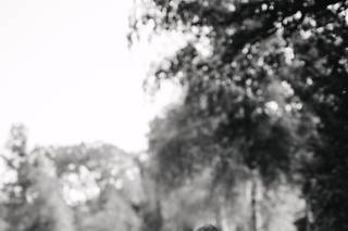 C.Syl20 Pix - 6