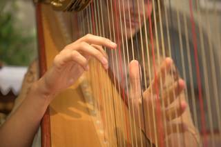 Harpe Event - 6