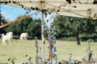 Pauline Franque Photographe - 8
