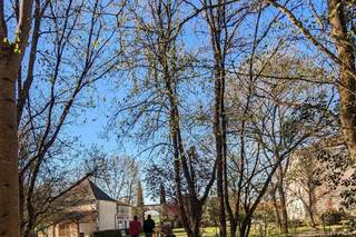 Le Domaine de Pladuc - 25