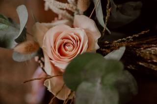 Allons voir si la rose - 16