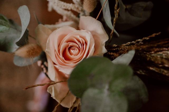 Allons voir si la rose - 1