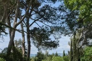 Château Guilhem - 8