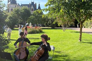 Limoncellos - 7