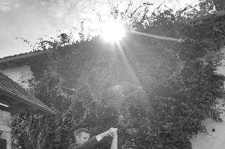 Aznphotographie - 6