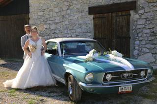 Mustang de Ben - 6