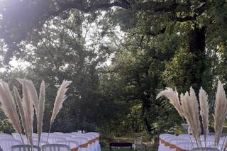 Wedding Dream - 5