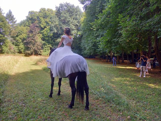 Equi Event - 1