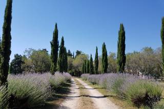 Domaine du Vivier - 22